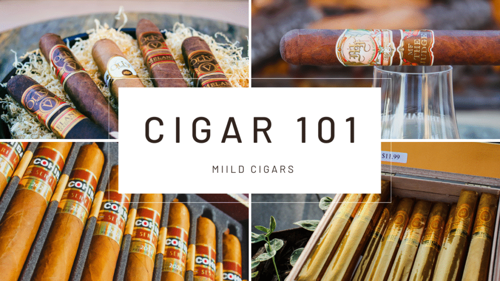 Dive into Cigar 101: Mild Cigars and explore smooth flavor profiles, ideal pairings, and the perfect occasions to light up. Whether you’re a beginner or a seasoned smoker, discover top mild cigars like Macanudo Gold Label and Davidoff Aniversario No. 3, plus expert tips on pairing with coffee, whiskey, and wine.