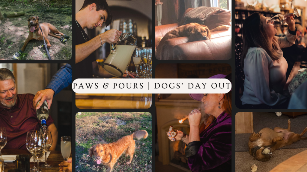 Paws & Pours, A happy hour all day for you and your doggo!
